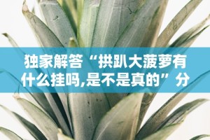 科普｜“畅享徐州麻将如何开挂”开挂辅助脚本+详细开挂