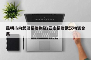 昆明市向武汉捐赠物资/云南捐赠武汉物资合集