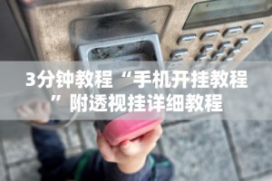3分钟教程“红包透视软件”开挂(透视)辅助教程
