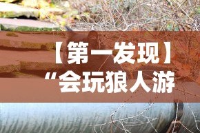 【第一发现】“会玩狼人游戏透视挂”通用版下载教程