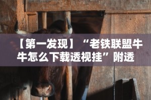 【第一发现】“老铁联盟牛牛怎么下载透视挂”附透视挂详细教程