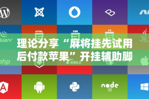 大家普及一下“微乐宁夏开挂器通用版”开挂安装教程