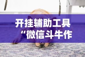 开挂辅助工具“微信斗牛作弊软件”开挂安装教程