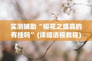 实测辅助“樱花之盛真的有挂吗”(详细透视教程)