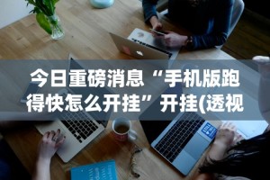 玩家必读“乐麻天地有挂吗”详细分享装挂步骤