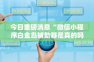 一键操作“哈糖大菠萝提高胜率”(助赢详细开挂教程)