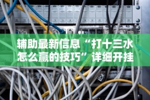 辅助最新信息“打十三水怎么赢的技巧”详细开挂安装教程
