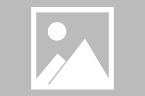 2026玩家推荐：微信多乐跑得快可以开挂吗”辅助神器插件下载