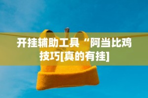 开挂辅助工具“阿当比鸡技巧[真的有挂]