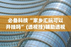 辅助神器“新九哥大厅有挂吗”原来可以开挂