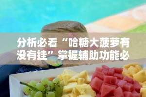 分析必看“哈糖大菠萝有没有挂”掌握辅助功能必胜规则