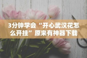 今日教程“开心十三张怎么拿好牌”(曝光透视必备猫腻)