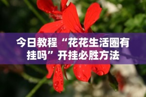 今日教程“花花生活圈有挂吗”开挂必胜方法