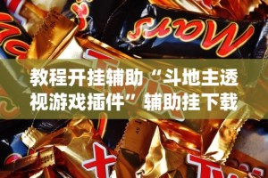 教程开挂辅助“斗地主透视游戏插件”辅助挂下载”(最新开挂教程)