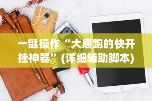 一键操作“大唐跑的快开挂神器”(详细辅助脚本)