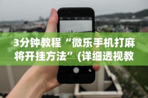 3分钟教程“微乐手机打麻将开挂方法”(详细透视教程)