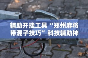 辅助开挂工具“郑州麻将带混子技巧”科技辅助神器手机版教程
