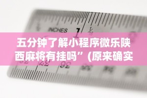 五分钟了解小程序微乐陕西麻将有挂吗”(原来确实是有插件)