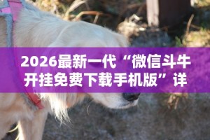 2026最新一代“微信斗牛开挂免费下载手机版”详细分享装挂步骤