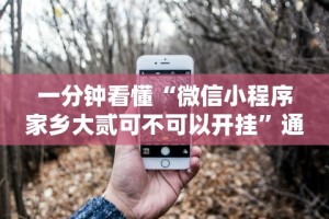 [实测]“新蜜瓜大厅怎样才能赢”附开挂脚本详细教程