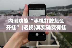 内测功能“手机打牌怎么开挂”(透视)其实确实有挂
