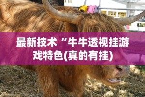 2026首发辅助“赫麒众游杰克辅助”其实确实有挂