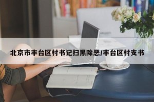 北京市丰台区村书记扫黑除恶/丰台区村支书