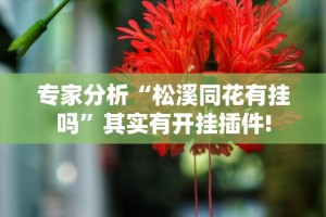 专家分析“松溪同花有挂吗”其实有开挂插件!