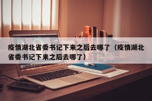 疫情湖北省委书记下来之后去哪了（疫情湖北省委书记下来之后去哪了）