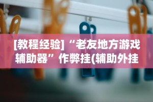 [教程经验]“老友地方游戏辅助器”作弊挂(辅助外挂+