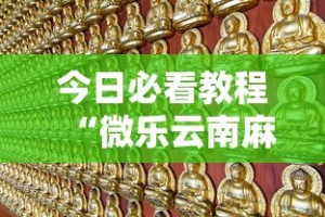 今日必看教程“微乐云南麻将万能开挂器”揭秘透视辅助万能挂用法