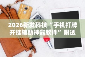 2026新发科技“手机打牌开挂辅助神器软件”附透视挂详细教程