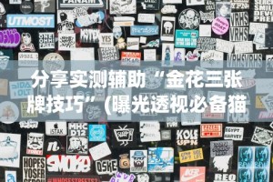 分享实测辅助“金花三张牌技巧”(曝光透视必备猫腻)