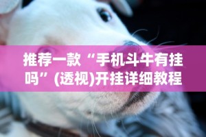 推荐一款“手机斗牛有挂吗”(透视)开挂详细教程