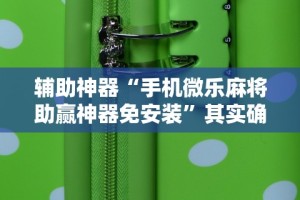 辅助神器“手机微乐麻将助赢神器免安装”其实确实有挂