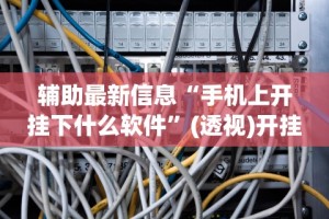 辅助最新信息“手机上开挂下什么软件”(透视)开挂辅助脚本+详细开挂安装教程