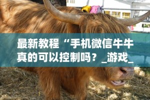 最新教程“手机微信牛牛真的可以控制吗？_游戏_玩家_工具