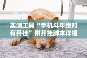 实测工具“手机斗牛绝对有开挂”附开挂脚本详细教程