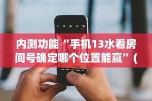 内测功能“手机13水看房间号确定哪个位置能赢”(太坑了果然有挂)