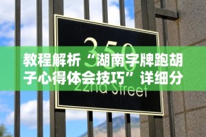 教程解析“湖南字牌跑胡子心得体会技巧”详细分享装挂步骤教程