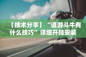 【技术分享】“道游斗牛有什么技巧”详细开挂安装教程
