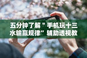五分钟了解＂手机玩十三水输赢规律”辅助透视教程