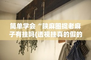 简单学会“陕麻圈捉老麻子有挂吗(透视挂真的假的)