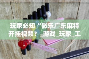 玩家必知“微乐广东麻将开挂视频？_游戏_玩家_工具