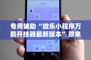 专用辅助“微乐小程序万能开挂器最新版本”原来有神器下载!