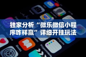 独家分析“微乐微信小程序咋样赢”详细开挂玩法