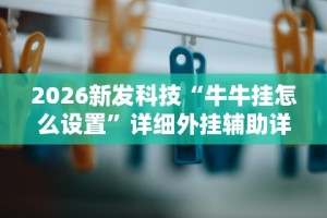 2026新发科技“牛牛挂怎么设置”详细外挂辅助详细教程