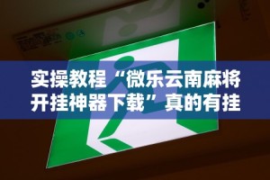 教程解析“上品长乐十三水怎么赢”详细辅助透视