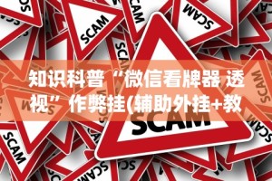 【玩家游戏玩法】“微乐自建房怎么提高胜率”开挂(透视)辅助神器