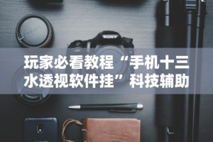 玩家必看教程“手机十三水透视软件挂”科技辅助神器手机版